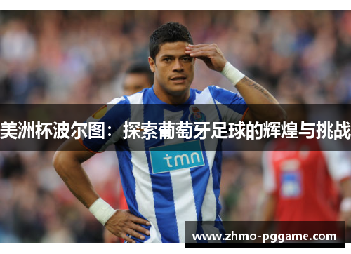 美洲杯波尔图：探索葡萄牙足球的辉煌与挑战